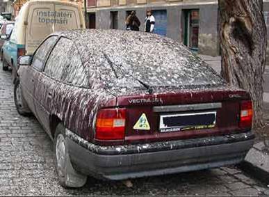 Poze MaxFun.ro » SPALA-MA