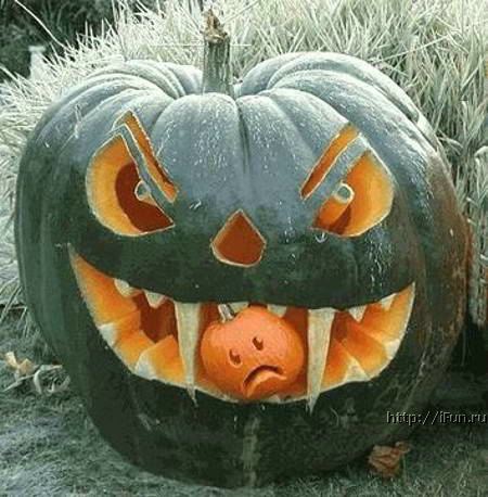 Poze MaxFun.ro » Masacru de halloween