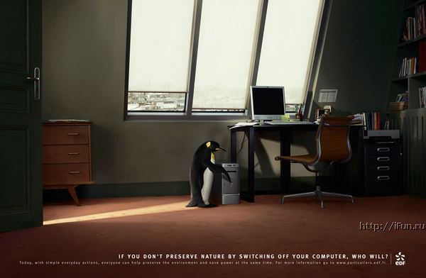 Poze MaxFun.ro » Pinguinul - Conservati energia electrica