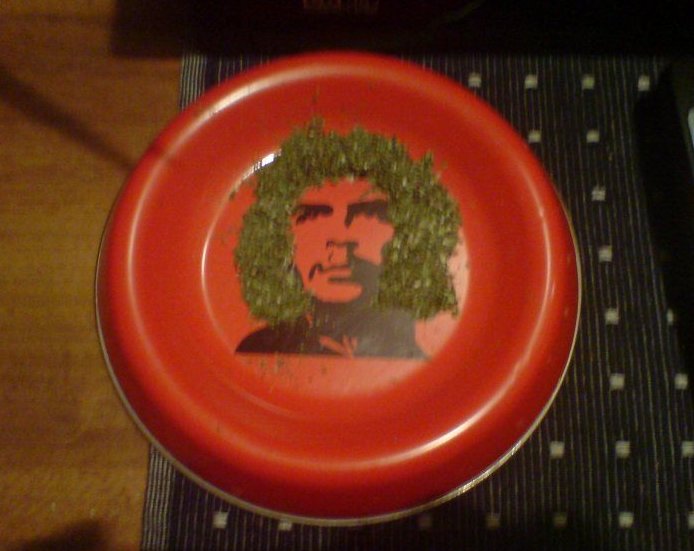 Poze MaxFun.ro » Che Guevara deghizat