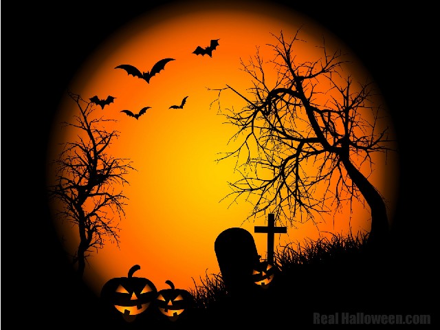 Wallpapere MaxFun.ro » Haloween #2